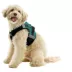 Gooby Soft Mesh X Step In Dog Harness image thumbnail 1