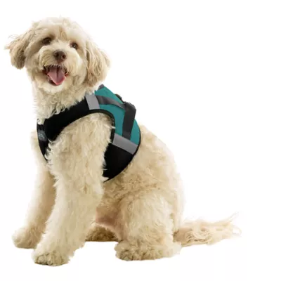 Gooby Soft Mesh X Step In Dog Harness - Image 1