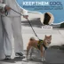 Gooby Soft Mesh X Step In Dog Harness image thumbnail 3
