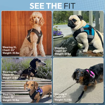 Gooby Soft Mesh X Step In Dog Harness - Image 6