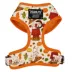 Sassy Woof Peanuts™ Harvest Fall Adjustable Dog Harness image thumbnail 1