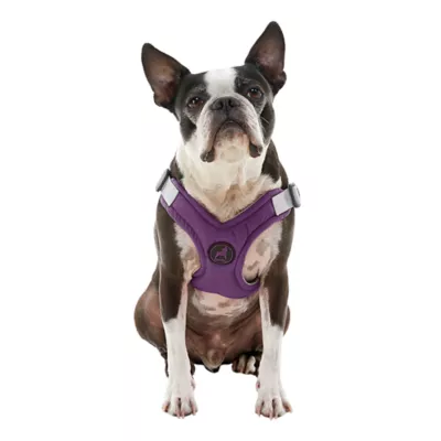 Gooby Memory Foam Step In Dog Harness - Image 1