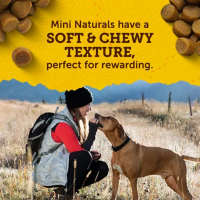 Purina® Zuke's® MINI Naturals™ All Life Stages Training Dog Treats - Chicken, Soft & Chewy - Image 4
