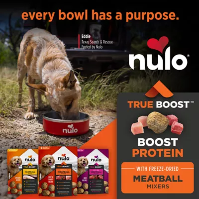 Nulo True Boost Freeze Dried Meatball Mixers All Lifestages Dog Food Toppers - 3.5 oz - Image 3