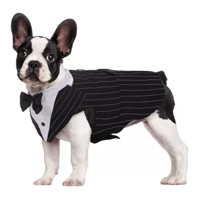 Kuoser Pinstripe Dog Tuxedo Suit & Bandanas Set, Formal Dog Clothing for Weddings & Parties - Image 1