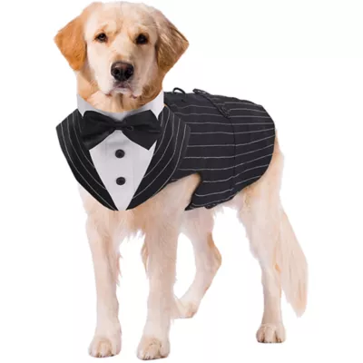 Kuoser Pinstripe Dog Tuxedo Suit & Bandanas Set, Formal Dog Clothing for Weddings & Parties - Image 1