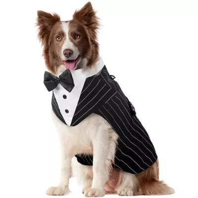 Kuoser Pinstripe Dog Tuxedo Suit & Bandanas Set, Formal Dog Clothing for Weddings & Parties - Image 1