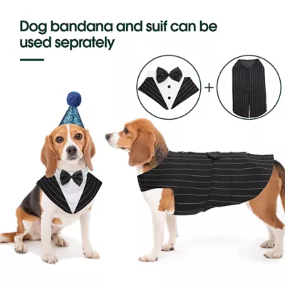 Kuoser Pinstripe Dog Tuxedo Suit & Bandanas Set, Formal Dog Clothing for Weddings & Parties - Image 3