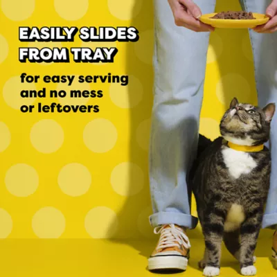 Temptations Wet Cat Food - Bites in Gravy, Variety Pack, 36 Count, 3.5 OZ - Image 6