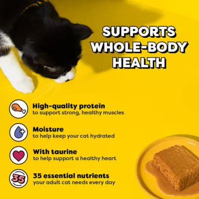 Temptations Wet Cat Food - Pate in Gravy, Variety Pack, 36 Count, 3.5 OZ - Image 4