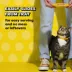 Temptations Wet Cat Food - Pate in Gravy, Variety Pack, 36 Count, 3.5 OZ image thumbnail 6