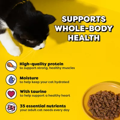Temptations Wet Cat Food - Bites in Gravy, Variety Pack, 24 Count, 3.5 OZ - Image 4