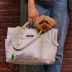 Cleverpup Lightweight Transit Tote Dog Carrier W/ Food-Safe Pouch & Poop Bag Dispenser, Sand image thumbnail 4