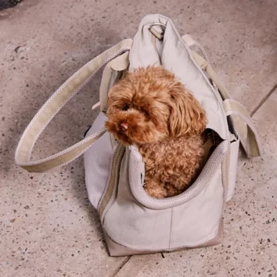 Cleverpup Lightweight Transit Tote Dog Carrier W/ Food-Safe Pouch & Poop Bag Dispenser, Sand - Image 10