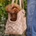 Cleverpup Lightweight Transit Tote Dog Carrier W/ Food-Safe Pouch & Poop Bag Dispenser, Checkered image thumbnail 4