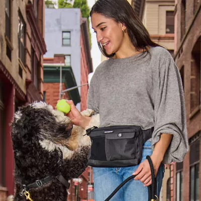 Cleverpup Dog Walk & Train Sling Bag W/ Poop Bag Dispenser, Treat Pocket, and Hidden Squeaker - Image 3
