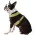 Gooby Comfort X Dual Snap Dog Harness image thumbnail 1