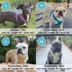 Gooby Comfort X Dual Snap Dog Harness image thumbnail 6