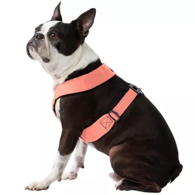 Gooby Comfort X Dual Snap Dog Harness - Image 1