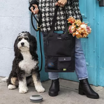 Cleverpup Park Pack 2-Piece Dog Gear Tote With Travel Bowl, Poop Bag Dispenser & Treat Pocket - Image 2