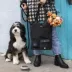 Cleverpup Park Pack 2-Piece Dog Gear Tote With Travel Bowl, Poop Bag Dispenser & Treat Pocket image thumbnail 2