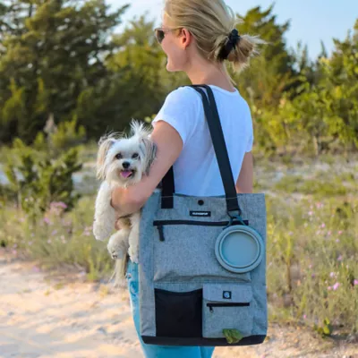 Cleverpup Park Pack 2-Piece Dog Gear Tote With Travel Bowl, Poop Bag Dispenser & Treat Pocket - Image 2