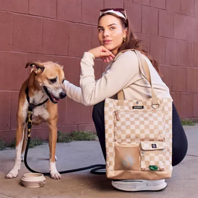 Cleverpup Park Pack 2-Piece Dog Gear Tote With Travel Bowl, Poop Bag Dispenser & Treat Pocket - Image 2