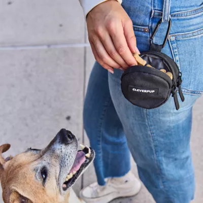 Cleverpup Snackpack Double Insulated Dog Treat Pouch W/ Water-Resistant Exterior & Lining - Image 2
