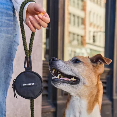 Cleverpup Snackpack Double Insulated Dog Treat Pouch W/ Water-Resistant Exterior & Lining - Image 8