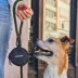 Cleverpup Snackpack Double Insulated Dog Treat Pouch W/ Water-Resistant Exterior & Lining image thumbnail 8
