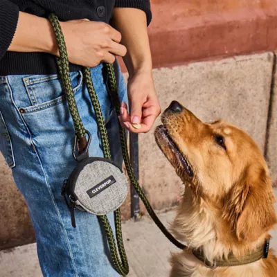 Cleverpup Snackpack Double Insulated Dog Treat Pouch W/ Water-Resistant Exterior & Lining - Image 8