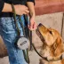Cleverpup Snackpack Double Insulated Dog Treat Pouch W/ Water-Resistant Exterior & Lining image thumbnail 8