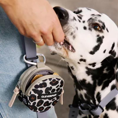 Cleverpup Snackpack Double Insulated Dog Treat Pouch W/ Water-Resistant Exterior & Lining - Image 2