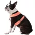 Gooby Comfort X Dual Snap Dog Harness image thumbnail 1