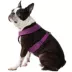Gooby Comfort X Dual Snap Dog Harness image thumbnail 1