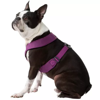 Gooby Comfort X Dual Snap Dog Harness - Image 1