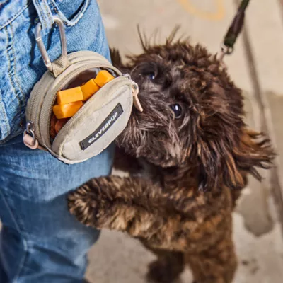 Cleverpup Snackpack Double Insulated Dog Treat Pouch W/ Water-Resistant Exterior & Lining - Image 3