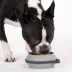 Cleverpup Nomad Collapsible Travel Bowl W/ Splash Guard Rim & Built-In Attachment Loop, Grey image thumbnail 2
