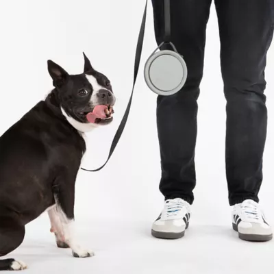 Cleverpup Nomad Collapsible Travel Bowl W/ Splash Guard Rim & Built-In Attachment Loop, Grey - Image 4