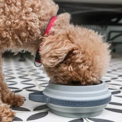 Cleverpup Nomad Collapsible Travel Bowl W/ Splash Guard Rim & Built-In Attachment Loop, Grey - Image 5