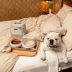 Cleverpup Bistro Box, 7-Piece Dog Food Travel Kit W/ Collapsible Bowls, Insulated Travel Bag & More image thumbnail 2