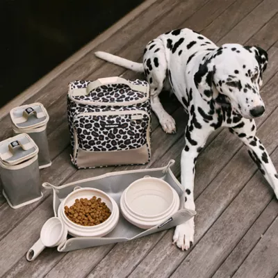 Cleverpup Bistro Box, 7-Piece Dog Food Travel Kit W/ Collapsible Bowls, Insulated Travel Bag & More - Image 2