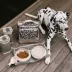 Cleverpup Bistro Box, 7-Piece Dog Food Travel Kit W/ Collapsible Bowls, Insulated Travel Bag & More image thumbnail 2