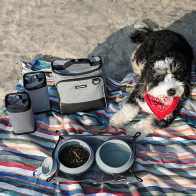 Cleverpup Bistro Box, 7-Piece Dog Food Travel Kit W/ Collapsible Bowls, Insulated Travel Bag & More - Image 8