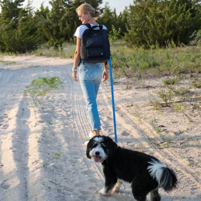 Cleverpup Porter 2-in-1 Dog Gear Backpack W/ Leash Clip For Hands-Free Walking &  Food-Safe Pouches - Image 5