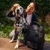 Cleverpup Porter 2-in-1 Dog Gear Backpack W/ Leash Clip For Hands-Free Walking &  Food-Safe Pouches image thumbnail 6