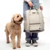 Cleverpup Porter 2-in-1 Dog Gear Backpack W/ Leash Clip For Hands-Free Walking &  Food-Safe Pouches image thumbnail 2