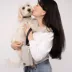 Cleverpup Porter 2-in-1 Dog Gear Backpack W/ Leash Clip For Hands-Free Walking &  Food-Safe Pouches image thumbnail 4