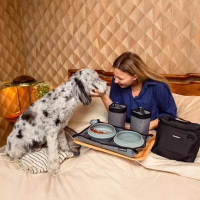 Cleverpup Bistro Box, 7-Piece Dog Food Travel Kit W/ Collapsible Bowls, Insulated Travel Bag & More - Image 2
