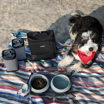 Cleverpup Bistro Box, 7-Piece Dog Food Travel Kit W/ Collapsible Bowls, Insulated Travel Bag & More - Image 7